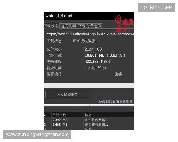 尊龙网站下载网页版：完整功能介绍与使用技巧全面解析