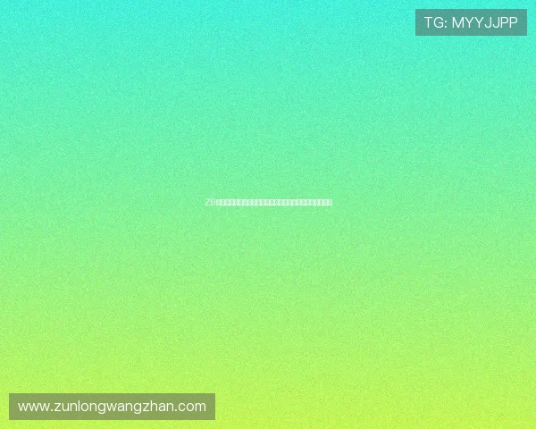 Z6尊龙旗舰厅登录线路最新优化版本，提升登录速度与稳定性