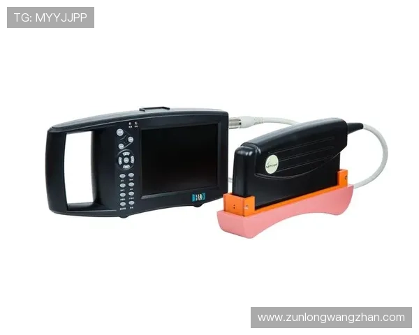 凯时尊龙app安全可靠的下载指南与使用技巧推荐